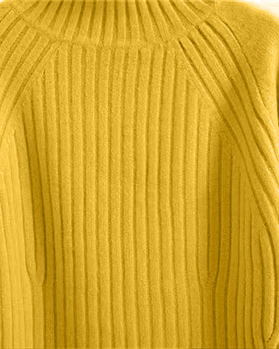 Solid Color Stand-up Sweater