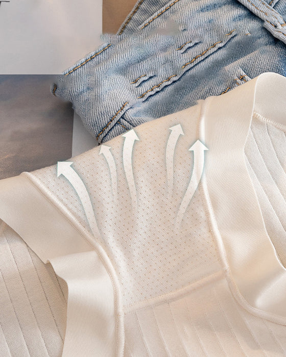 Culotte Coton Longues Fibres Taille Haute